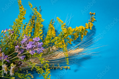 Tableau sur toile Herbal consecration of the Assumption of Mary day