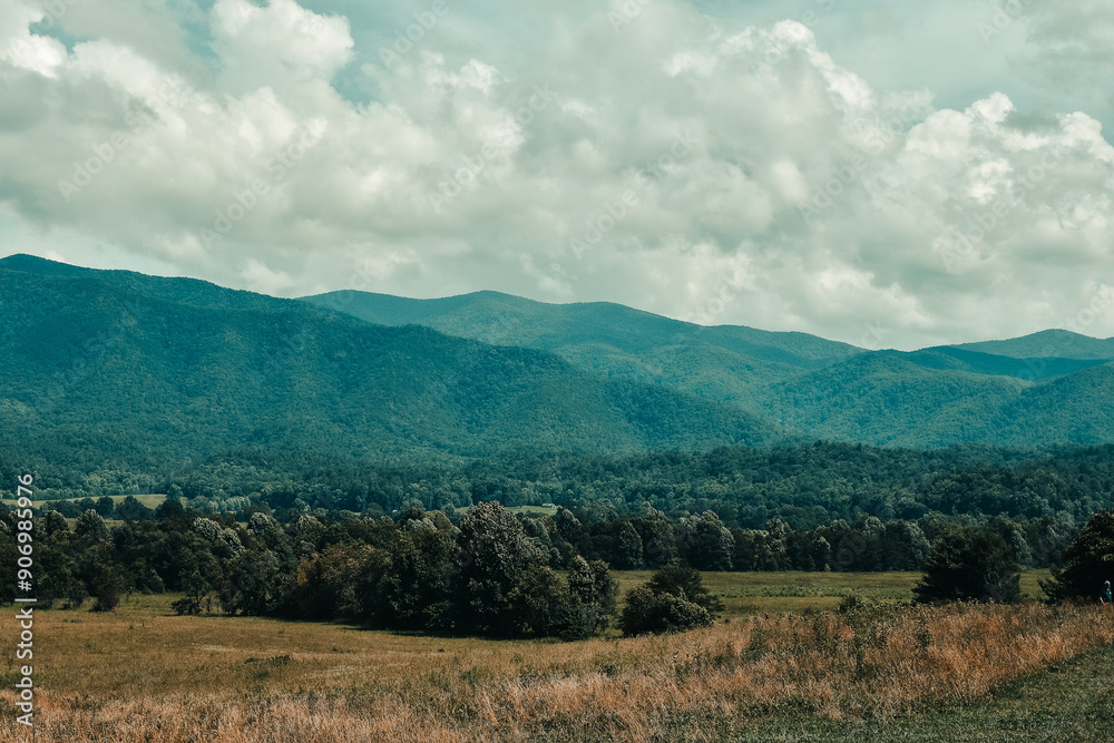View of the Great Smoky Mountains from across a meadow in Cades Cove of Great Smoky Mountains National Park. View of the Great Smoky Mountains from across a meadow in Cades Cove of Great Smoky Mountains National Park.