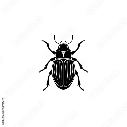 beetle