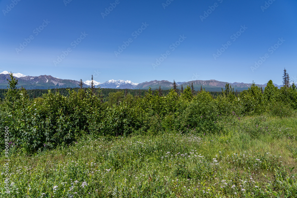 Denali View North, Denali State Park, Alaska
Denali View North, Denali State Park, Alaska