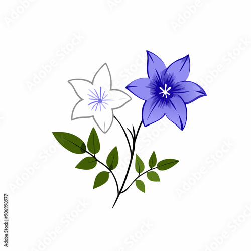 Spring Balloon flowers and leaves bouquet isolated on white background (6)