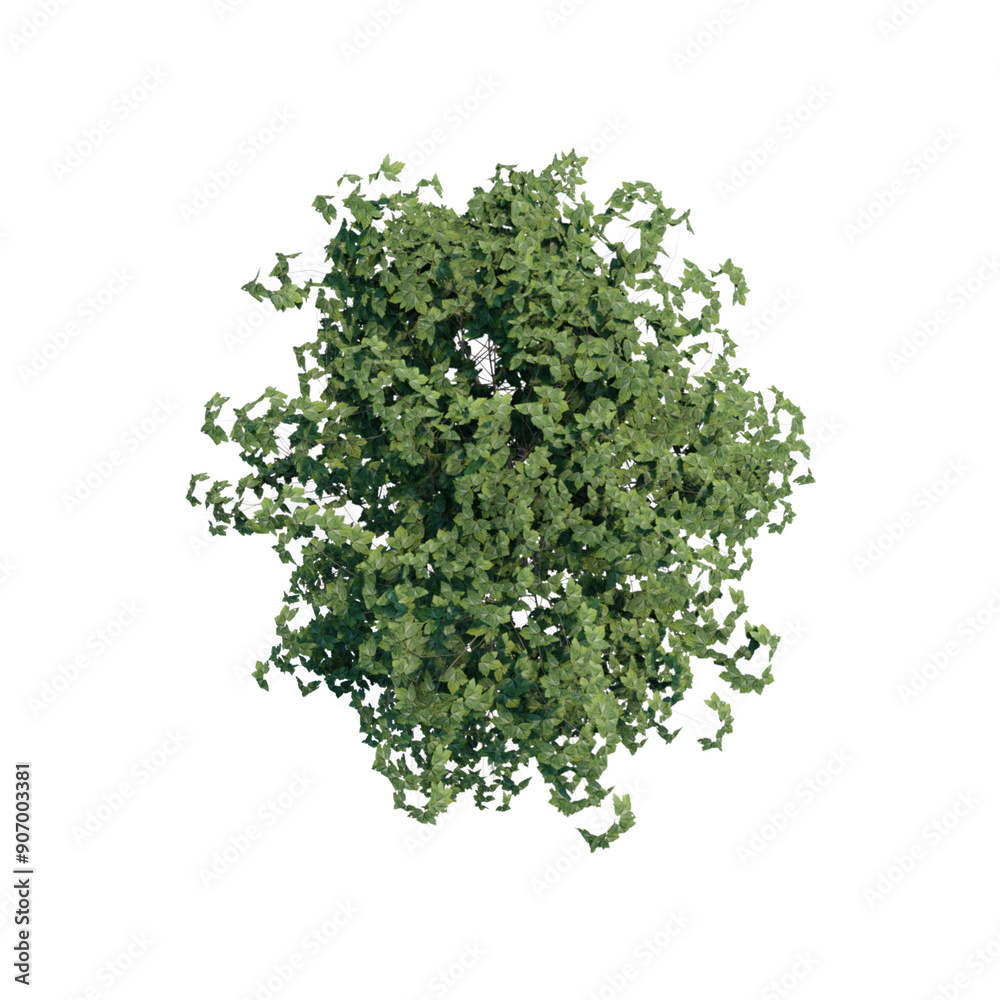 Obraz premium tree top view plant landscape architecture nature garden aerial render.