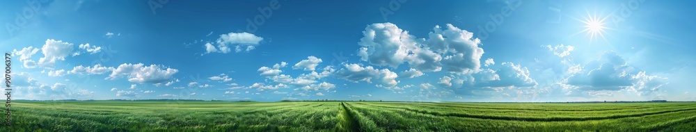 Sweeping Panorama of a Beautiful Blue Sky with Fluffy Clouds Over a Lush Green Field Landscape Sweeping Panorama of a Beautiful Blue Sky with Fluffy Clouds Over a Lush Green Field Landscape