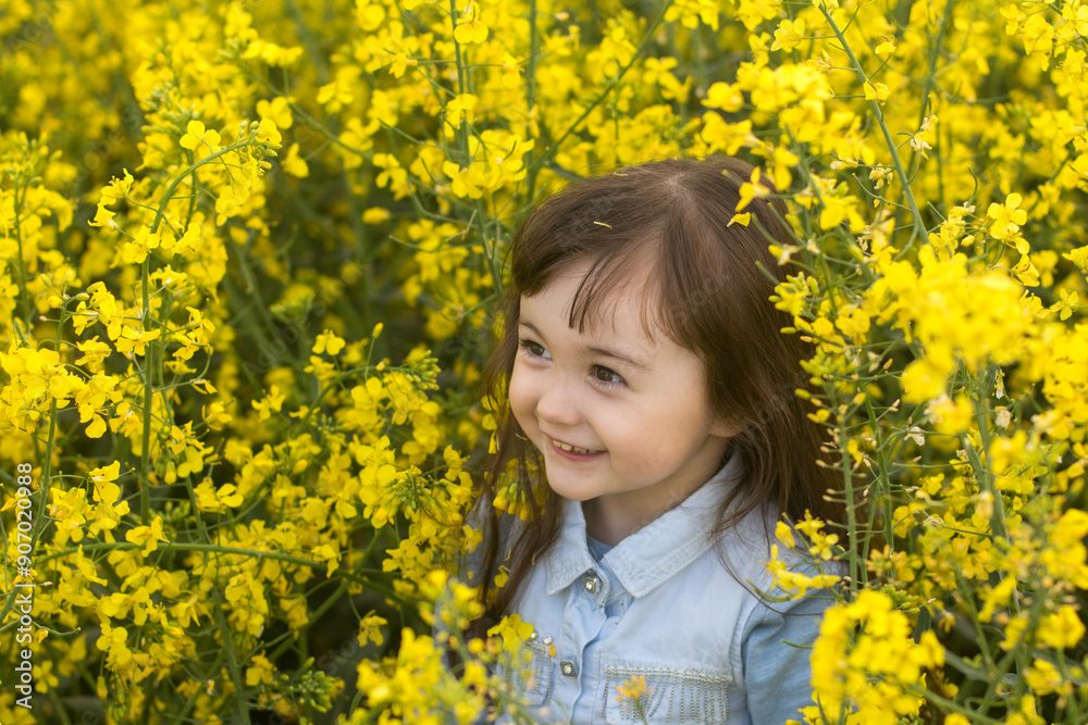 a little girl in a field of flowering yellow. field. girl with yellow flowers a little girl in a field of flowering yellow. field. girl with yellow flowers
