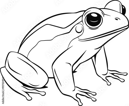 frog silhouette vector illustration