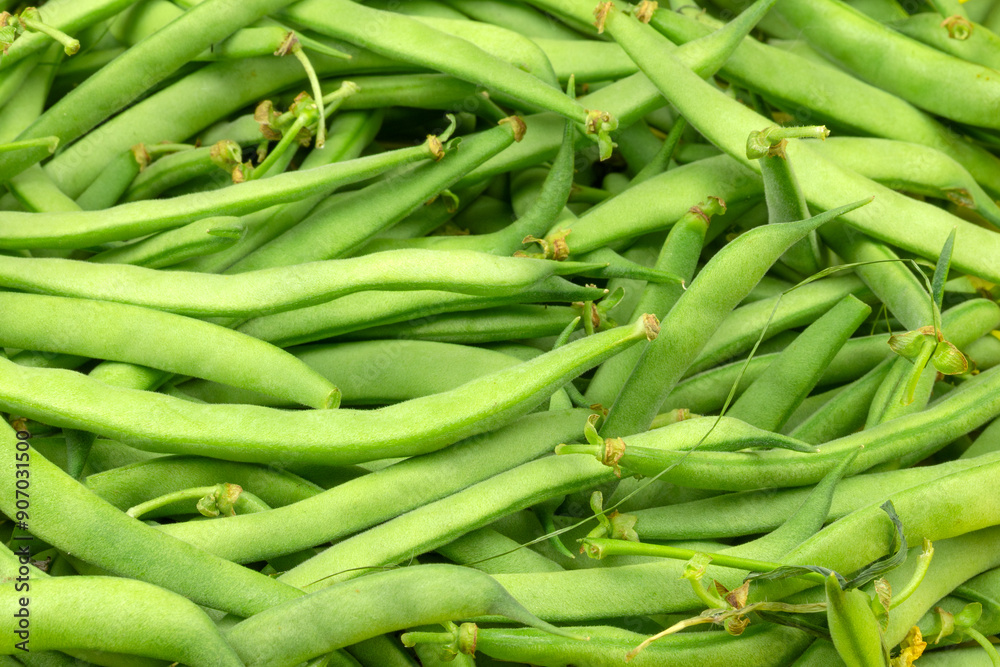 fond d'haricots verts crus, en gros plan fond d'haricots verts crus, en gros plan