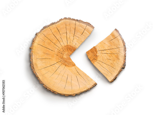 Fotografie Organic Illustration of pie chart of financial figures, demographics, business numbers