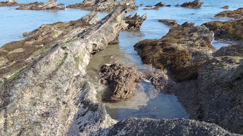 Rocks on Miura beach in Japan on a sunny day
