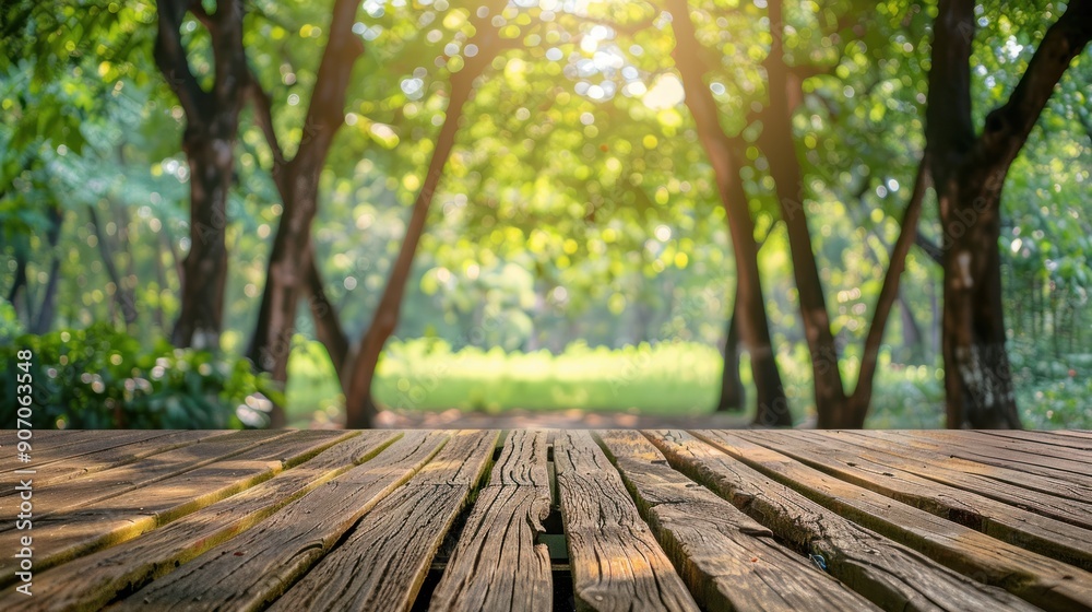 Wooden Plank Pathway in a Lush Forest Wooden Plank Pathway in a Lush Forest