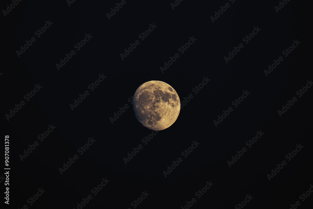 Obraz premium Nuit noire éclairée par la lune