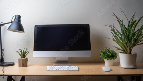 computer setup, monitor keyboard mouse