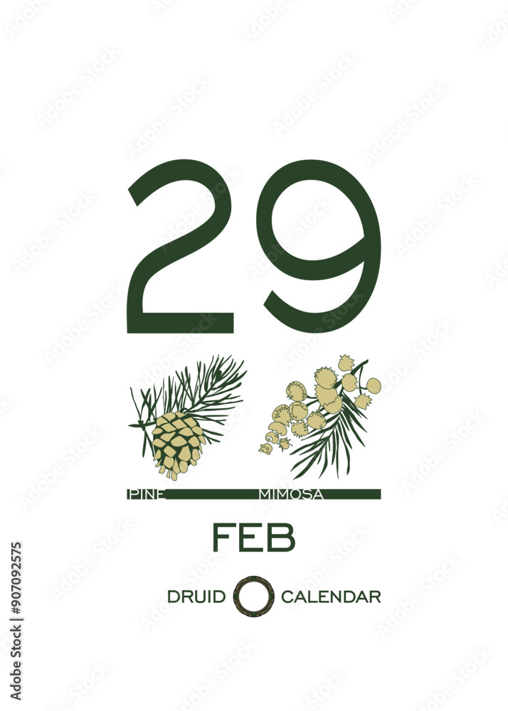 Druidic plant calendar of trees and flowers. Celtic astrological horoscope. Eco design for natural decor Druidic plant calendar of trees and flowers. Celtic astrological horoscope. Eco design for natural decor