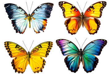 Set of colorful butterfly isolated on transparent background. PNG, cutout. Clipart collection of bright butterflies with beautiful wings.