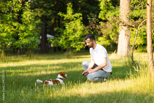 Photography Cute Jack Russell Terrier dog outdoors walking and training with clicker in the park with his owner on a sunny day