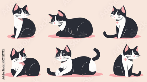 Collection black white tuxedo cats exhibiting various playful cute expressions. Simplified cartoon style feline illustrations set against plain background, cat pose conveys different emotion action