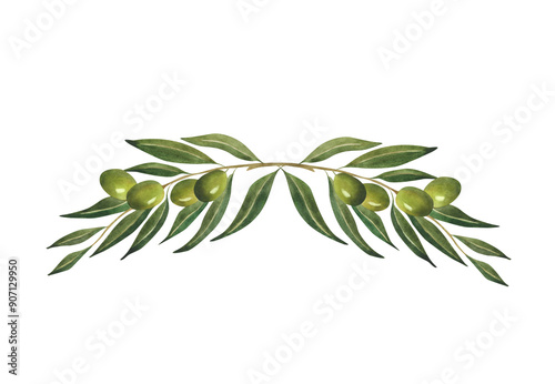 Watercolor olive branch composition For olive oil logo, postcard, greeting card, design wedding invitation decoration Italian food Organic Natural Botanical green illustration
