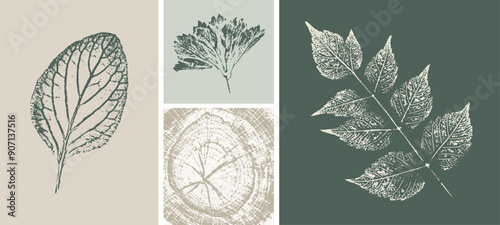 Set with hand made ink stamp leaves. Objects isolated on white. Green and tan decorative prints. Monochrome artistic floral collection. Detailed texture of forest leaves