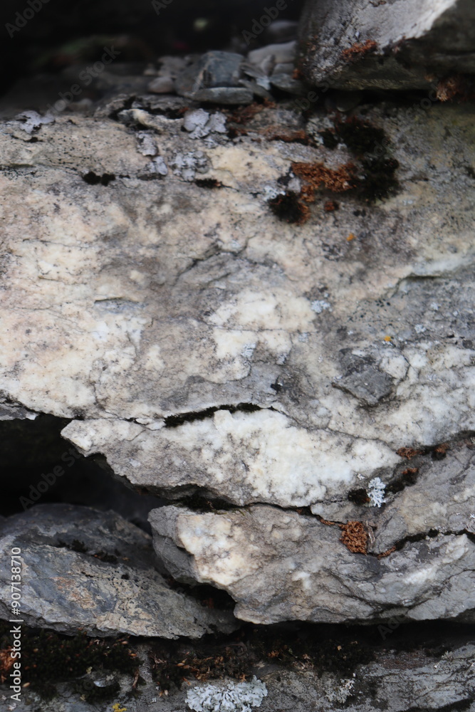 Gray stone blocks with soil and plants.
Gray stone blocks with soil and plants.