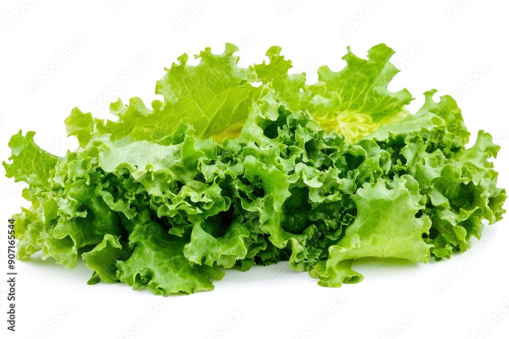 salad, lettuce leaf, isolated on white background, full depth of field, ai salad, lettuce leaf, isolated on white background, full depth of field, ai