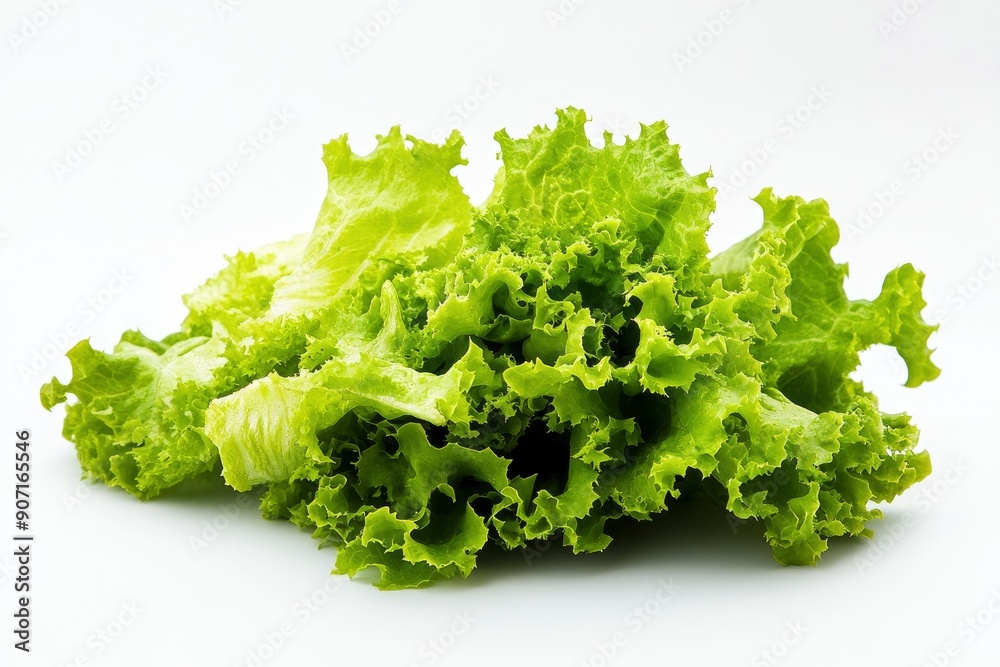 salad, lettuce leaf, isolated on white background, full depth of field, ai salad, lettuce leaf, isolated on white background, full depth of field, ai