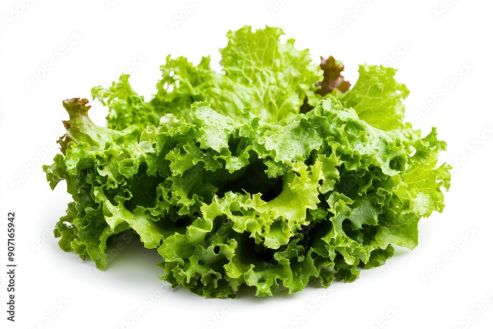 salad, lettuce leaf, isolated on white background, full depth of field, ai salad, lettuce leaf, isolated on white background, full depth of field, ai