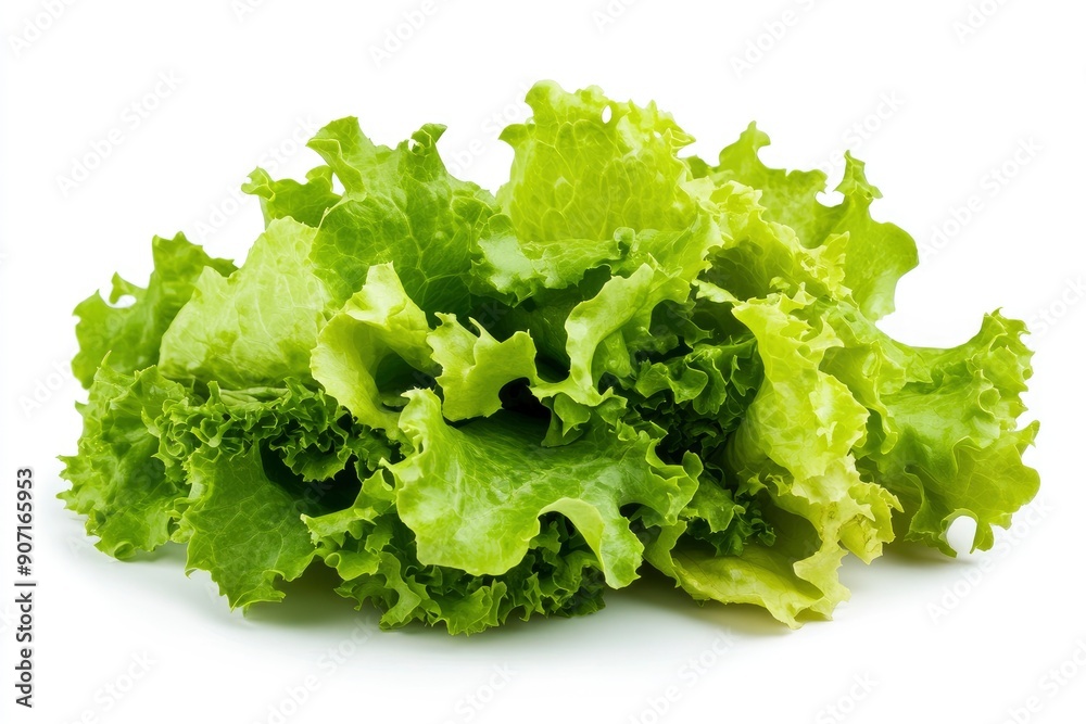 salad, lettuce leaf, isolated on white background, full depth of field, ai salad, lettuce leaf, isolated on white background, full depth of field, ai