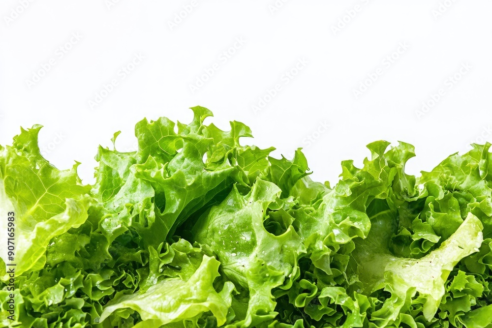 salad, lettuce leaf, isolated on white background, full depth of field, ai salad, lettuce leaf, isolated on white background, full depth of field, ai