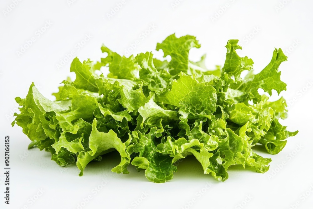 salad, lettuce leaf, isolated on white background, full depth of field, ai salad, lettuce leaf, isolated on white background, full depth of field, ai