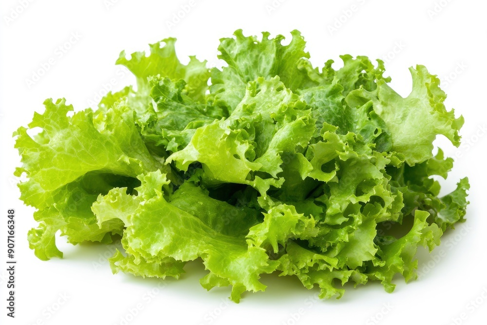 salad, lettuce leaf, isolated on white background, full depth of field, ai salad, lettuce leaf, isolated on white background, full depth of field, ai