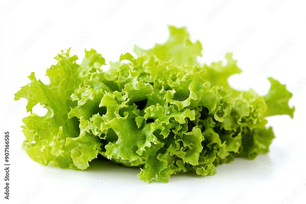 salad, lettuce leaf, isolated on white background, full depth of field, ai salad, lettuce leaf, isolated on white background, full depth of field, ai