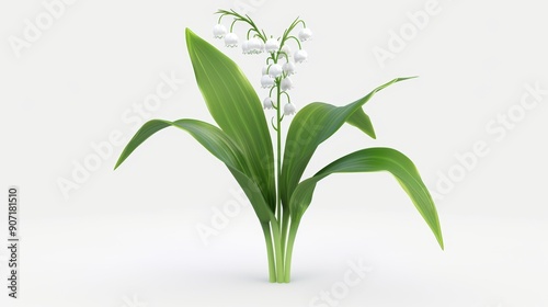 A white flower with green leaves photo