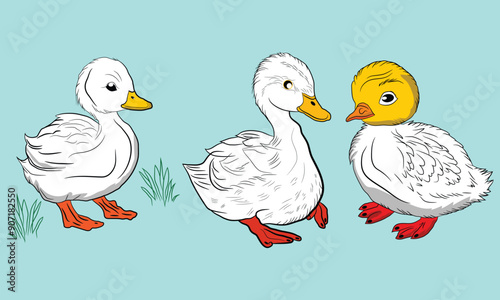 white Little duck Colorful Vector Illustration