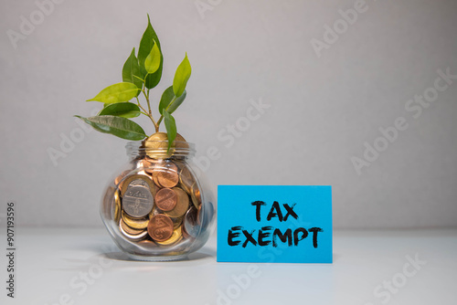 Bilde på lerret Close up on businessman holding a wooden block with Tax exempt