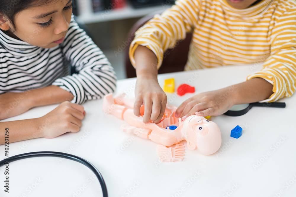 two sibling Playing Anatomy studies for kids. Human body organs and skeleton parts toy. Learning medical terms, order and location of each part. at home. two sibling Playing Anatomy studies for kids. Human body organs and skeleton parts toy. Learning medical terms, order and location of each part. at home.