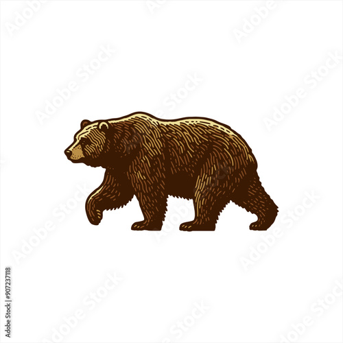 scratchboard vintage hand drawing brown bear