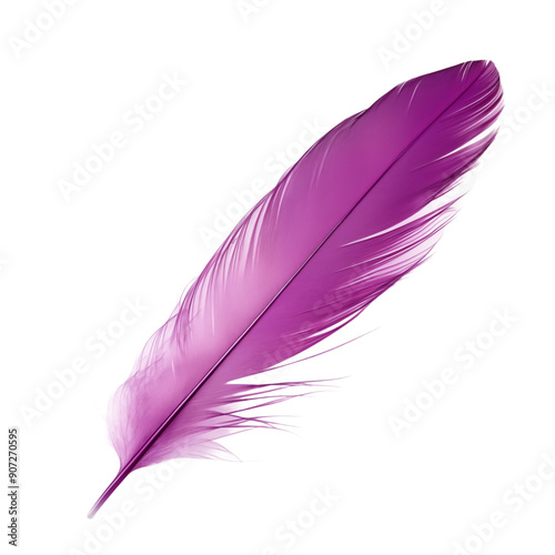 Elegant Magenta Feather Isolated On A White Background