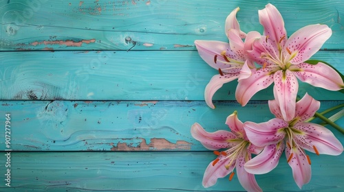 Lily flowers on painted turquoise wooden planks in spring