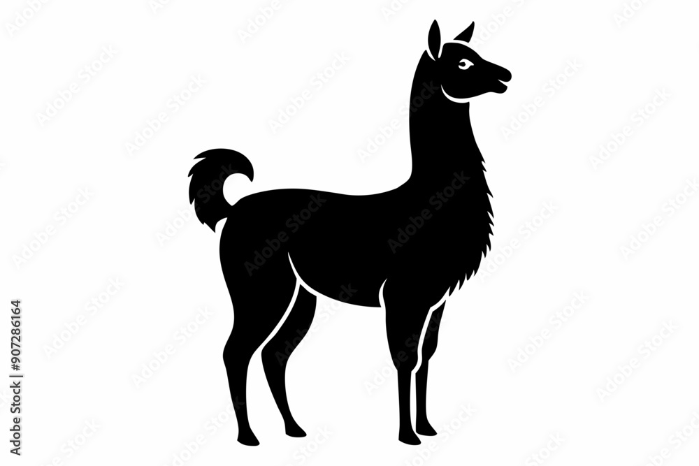 Black Alpaca Silhouette Vector, lama silhouette Black Alpaca Silhouette Vector, lama silhouette