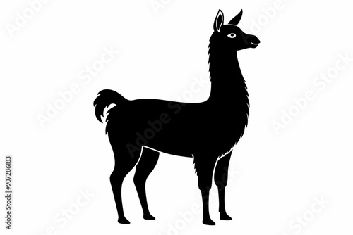 Black Alpaca Silhouette Vector, lama silhouette