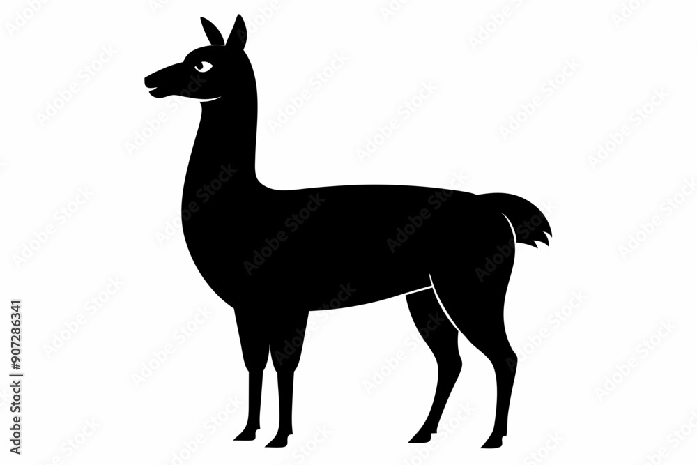 Lama Silhouette, Vector of lama standing side view black silhouette
Lama Silhouette, Vector of lama standing side view black silhouette