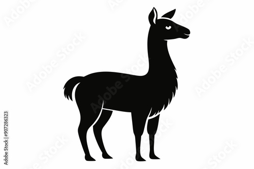 
Lama Silhouette,  Vector of lama standing side view black silhouette


