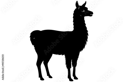 
Lama Silhouette,  Vector of lama standing side view black silhouette


