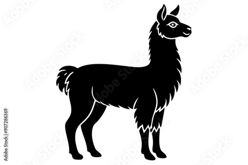 
Lama Silhouette,  Vector of lama standing side view black silhouette


