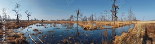 A large body of water with trees in the background