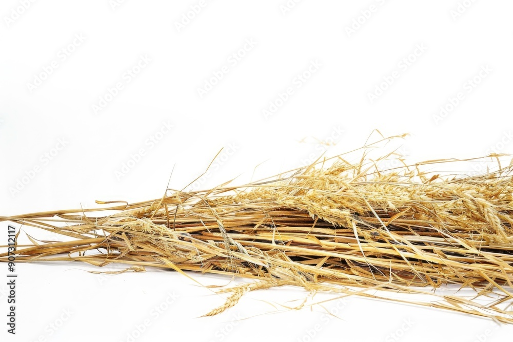 A pile of dry grass on a white background A pile of dry grass on a white background