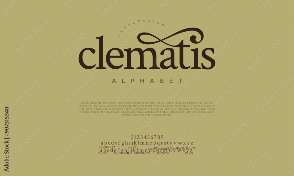 Clematis swash luxury elegant alphabet letters and numbers. Vintage wedding typography classic serif font decorative vintage retro. creative vector illustration