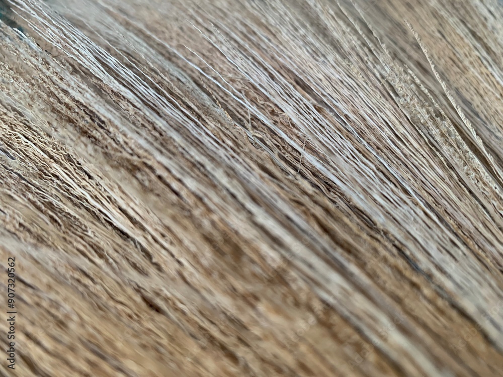 brown gold Broom, dry straw texture strip line gradient background brown gold Broom, dry straw texture strip line gradient background