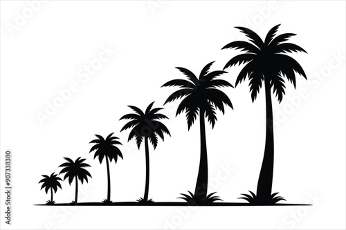 palm tree and birds in different stages of growth black vector