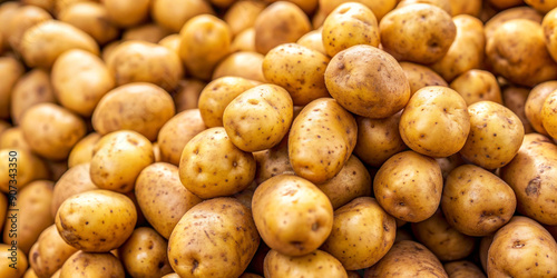 Lots of fresh potato background