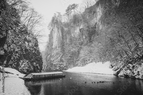 水墨画のような